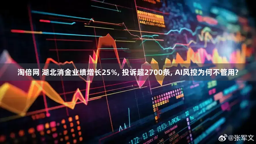 淘倍网 湖北消金业绩增长25%, 投诉超2700条, AI风控为何不管用?