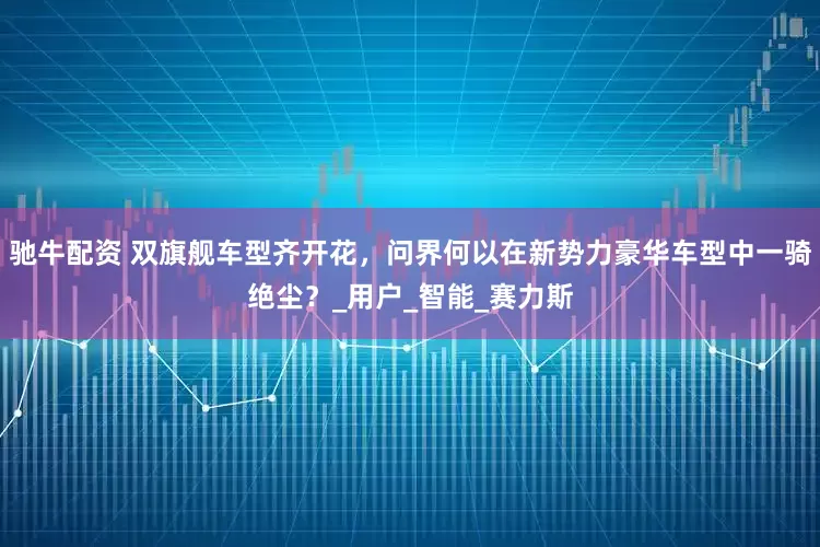 驰牛配资 双旗舰车型齐开花,问界何以在新势力豪华车型中一骑绝尘?_用户_智能_赛力斯